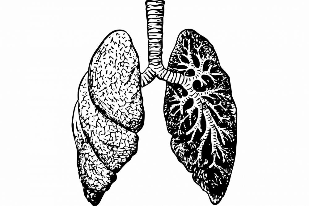 The Weekend Leader - Omicron grows 70x faster than Delta in lungs but is less severe